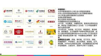 娱乐吃瓜酱盈利模式分析,盈利模式深度解析