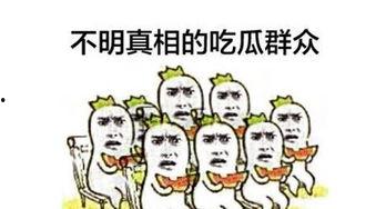 我就是一个吃瓜群众,网络时代的旁观者与参与者